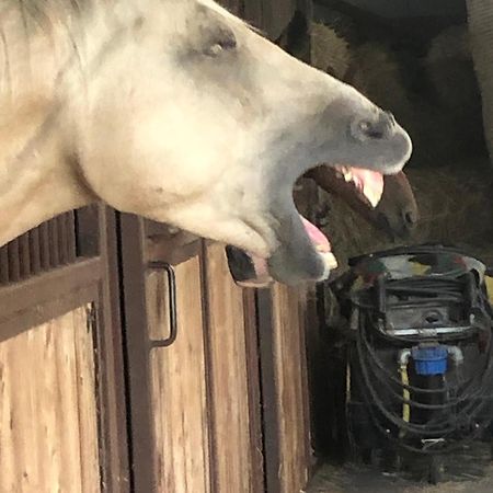 Boeren Biezen Bed Landelijkヴィラ エクステリア 写真
