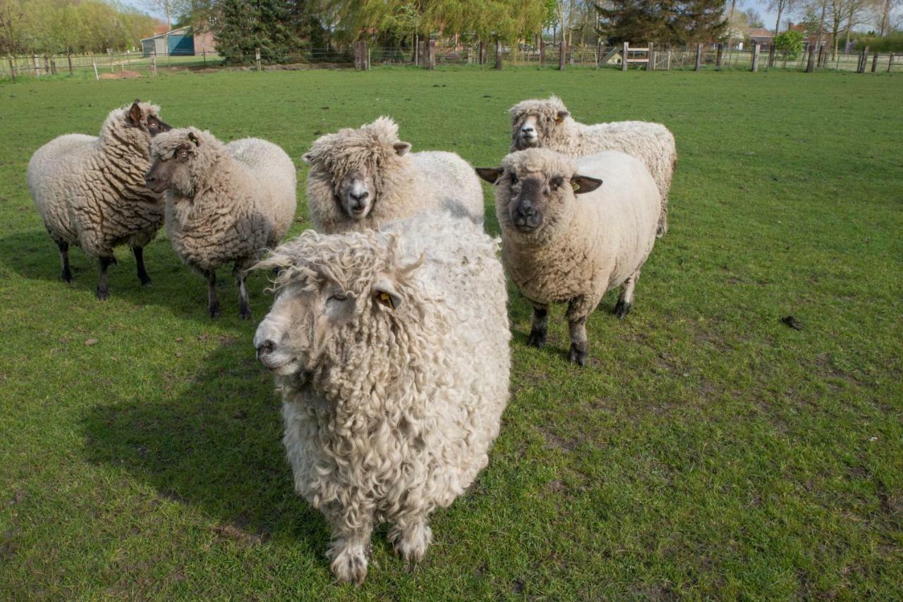 Boeren Biezen Bed Landelijkヴィラ エクステリア 写真