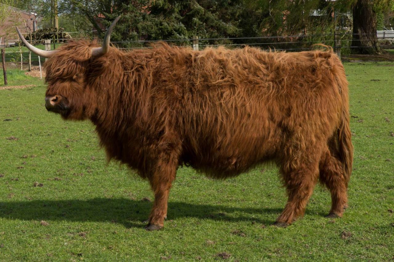 Boeren Biezen Bed Landelijkヴィラ エクステリア 写真