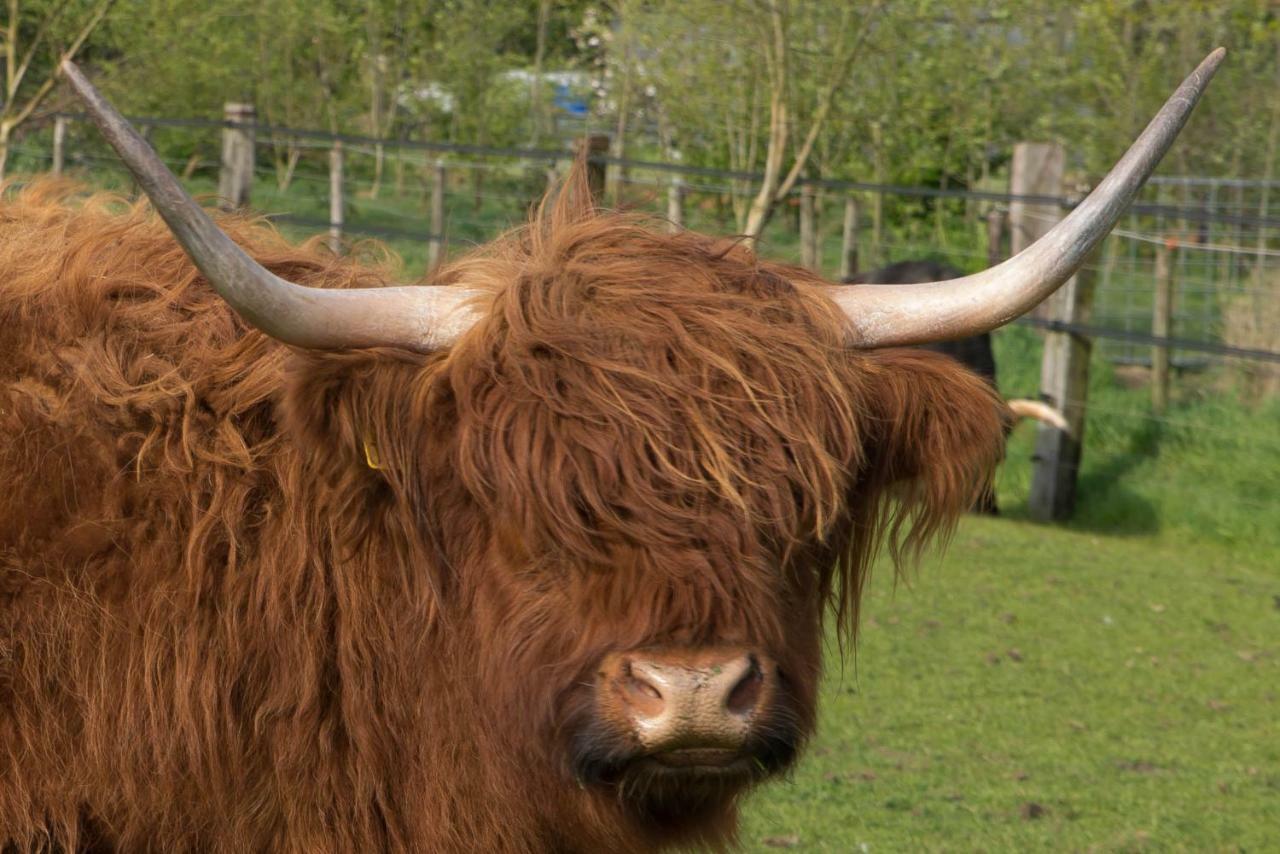 Boeren Biezen Bed Landelijkヴィラ エクステリア 写真