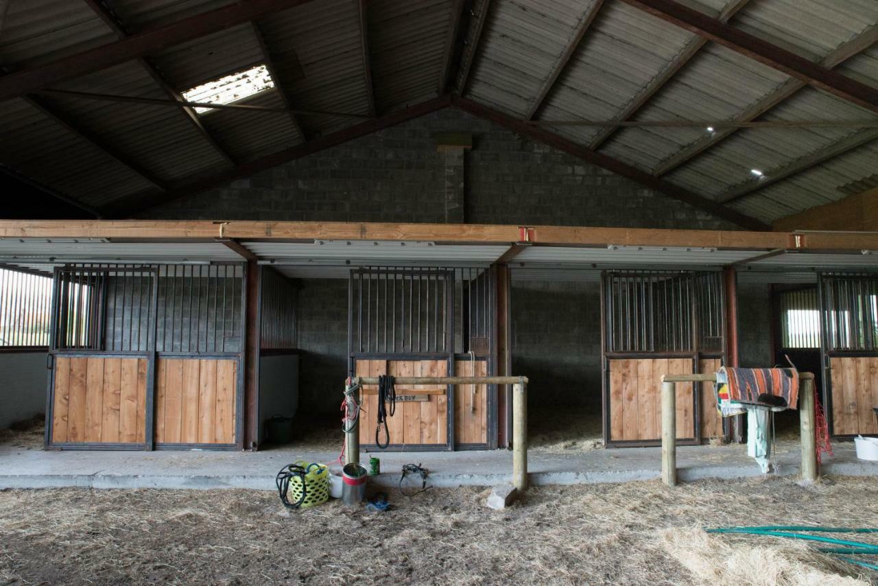 Boeren Biezen Bed Landelijkヴィラ エクステリア 写真