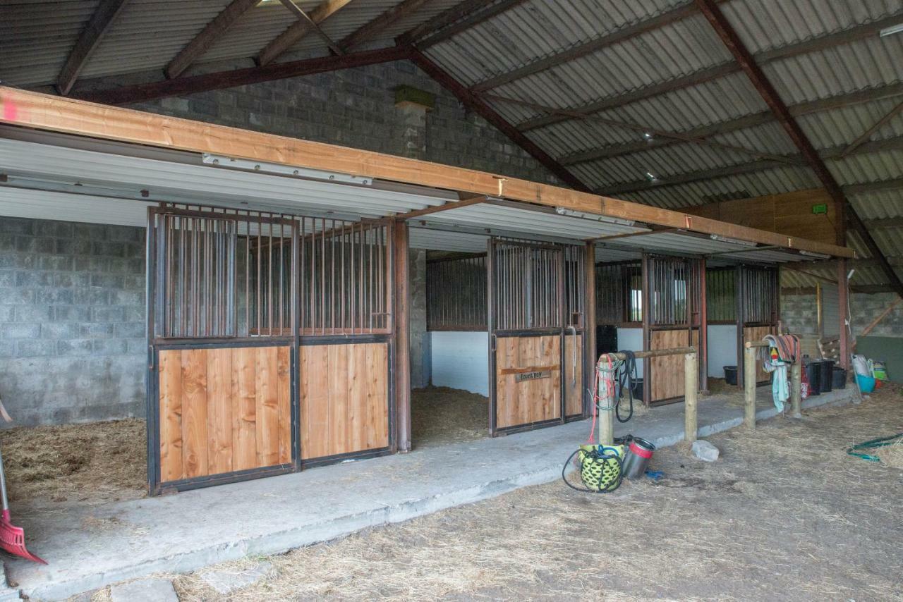 Boeren Biezen Bed Landelijkヴィラ エクステリア 写真