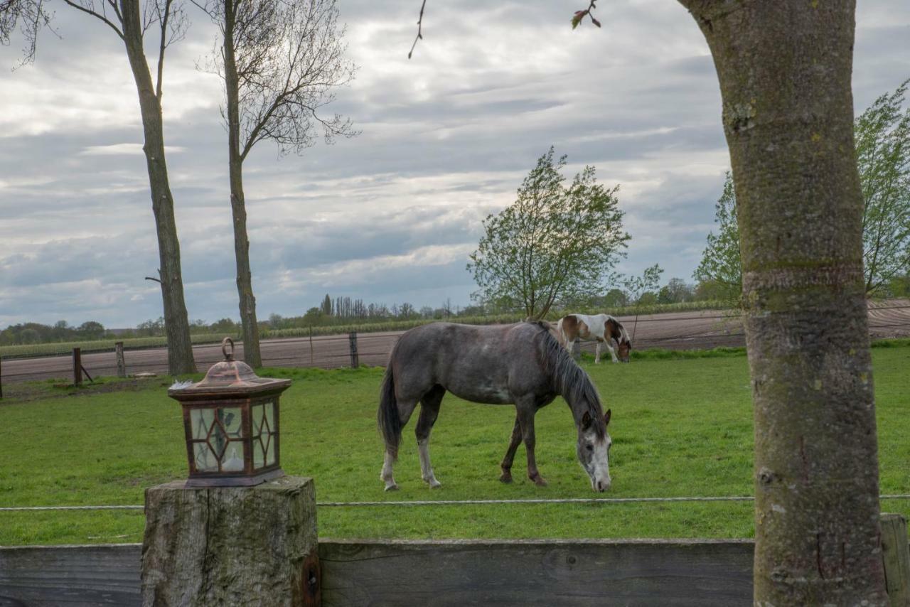 Boeren Biezen Bed Landelijkヴィラ エクステリア 写真