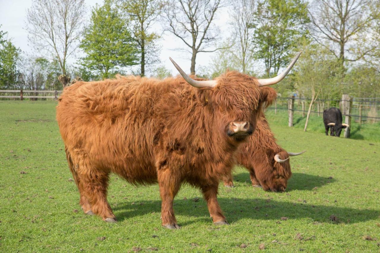Boeren Biezen Bed Landelijkヴィラ エクステリア 写真