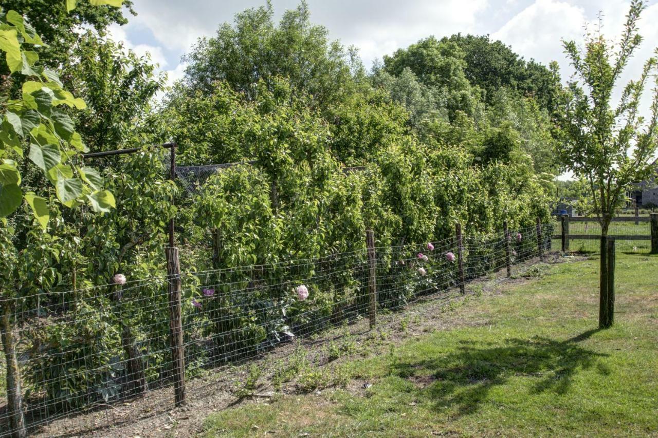 Boeren Biezen Bed Landelijkヴィラ エクステリア 写真